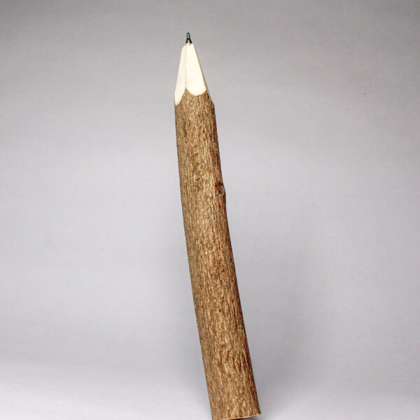 Non-Refillable Natural Neem Stem Pen